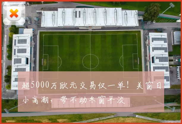 超5000万欧元交易仅一单！关窗日小高潮，带不动冬窗平淡