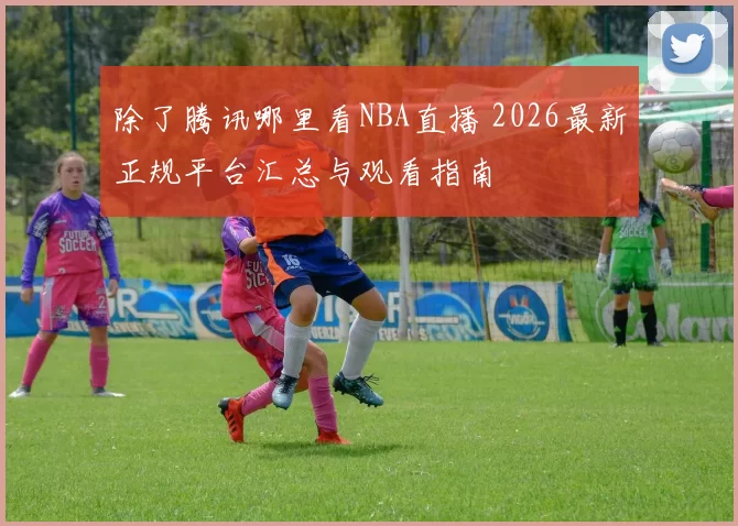 除了腾讯哪里看NBA直播 2026最新正规平台汇总与观看指南