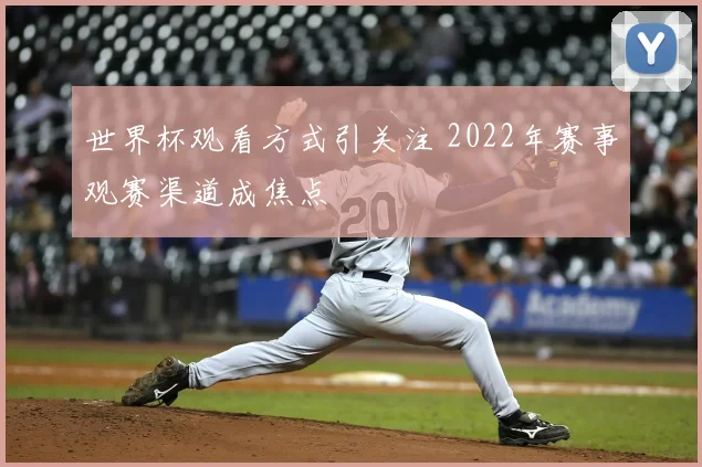 世界杯观看方式引关注 2022年赛事观赛渠道成焦点