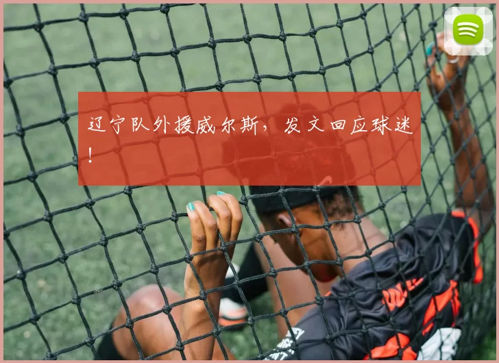 辽宁队外援威尔斯，发文回应球迷！