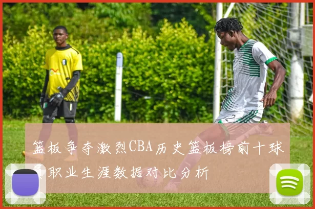篮板争夺激烈CBA历史篮板榜前十球员职业生涯数据对比分析