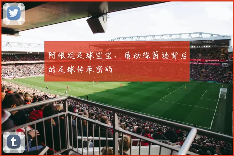 阿根廷足球宝宝，萌动绿茵场背后的足球传承密码