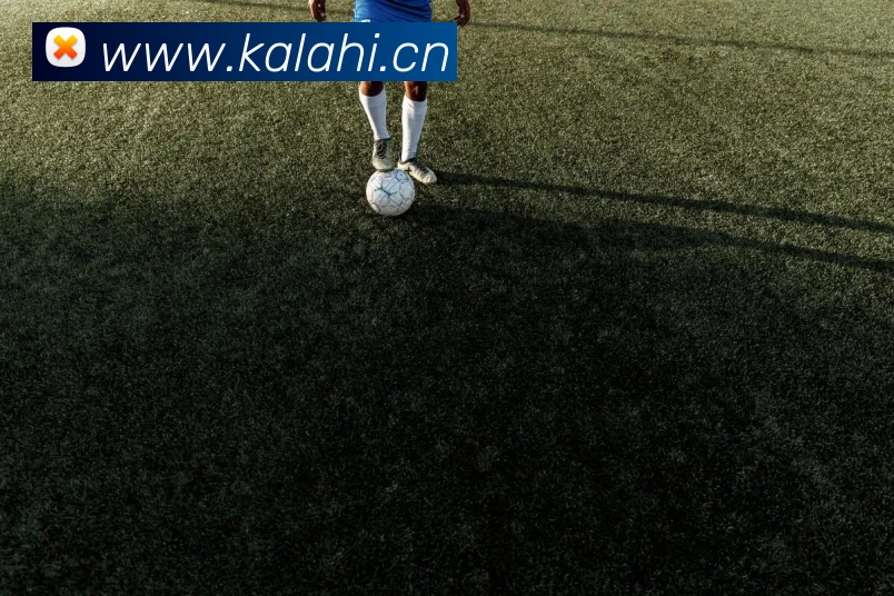 开云(中国)Kaiyun·官方网站 - 登录入口官网平台生态图