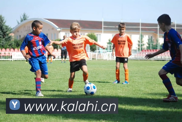 开云app官方在线入口 - 开云kaiyun(中国)APP 封面图